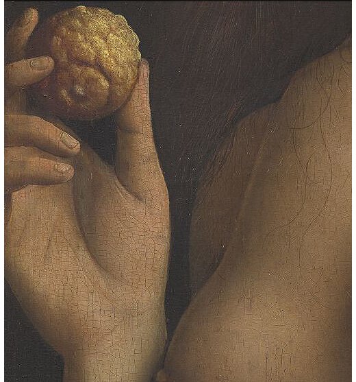 A detail from the Ghent Altarpiece. Note that Eve is holding a citrus fruit rather than an apple—a fun fact courtesy of Google Arts & Culture.
